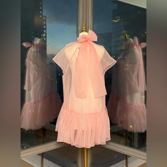 🆕 SIMKHAI 🧿 NWT Beaux Tiered Babydoll Mini Dress, Ballet Pink - Sz US 4 - Picture 8 of 14